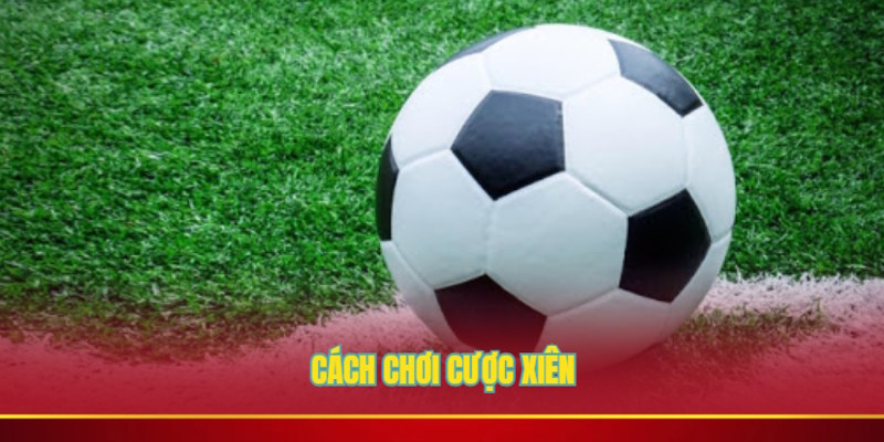 Cược xiên là gì - cách chơi