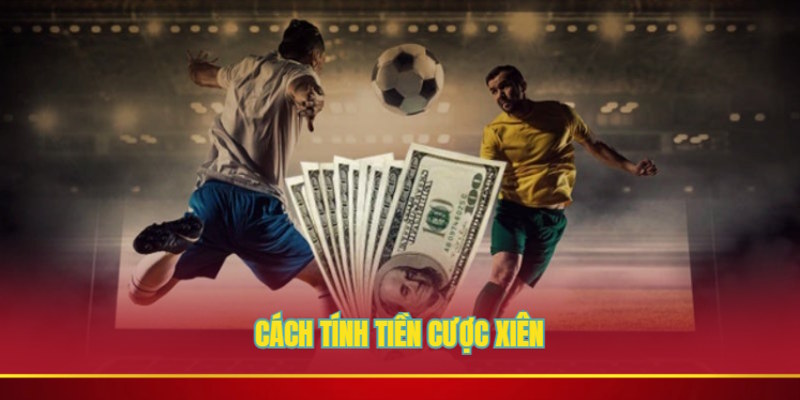 Cược xiên là gì và chi tiết cách thức tính tiền