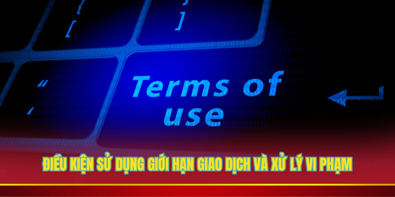 Điều Kiện Sử Dụng giới hạn giao dịch và xử lý vi phạm
