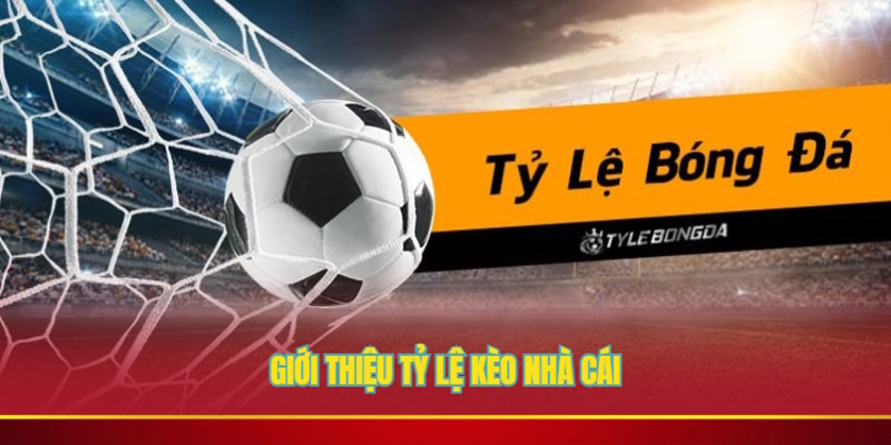 Giới thiệu tỷ lệ kèo nhà cái