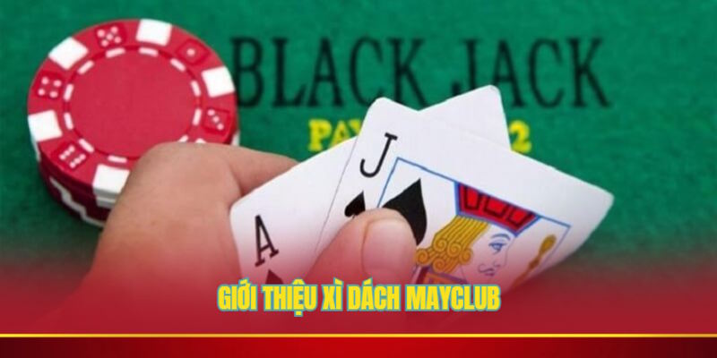 Giới thiệu xì dách trong game bài Mayclub
